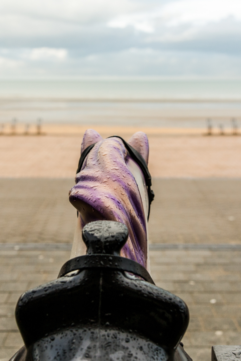 at the cold Season, Belgian Coast