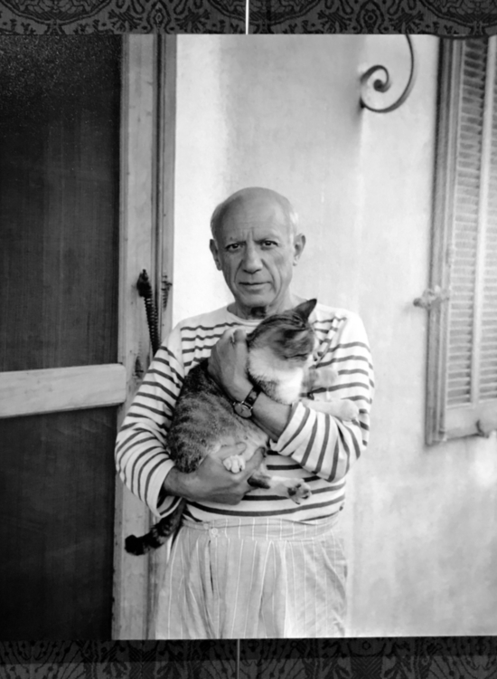 picasso picasso
